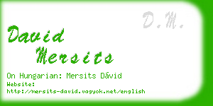 david mersits business card